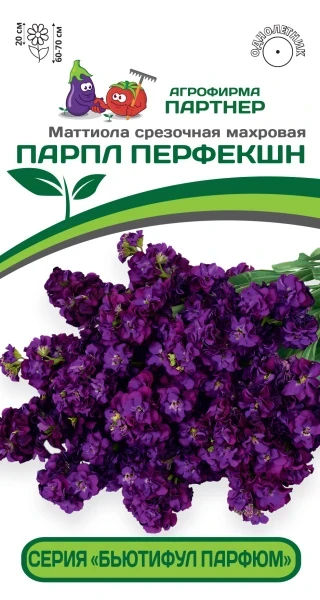 Партнер Маттиола срезочная махровая "Бьютифул Парфюм" ПАРПЛ ПЕРФЕКШН^(10шт) 2-ной пак