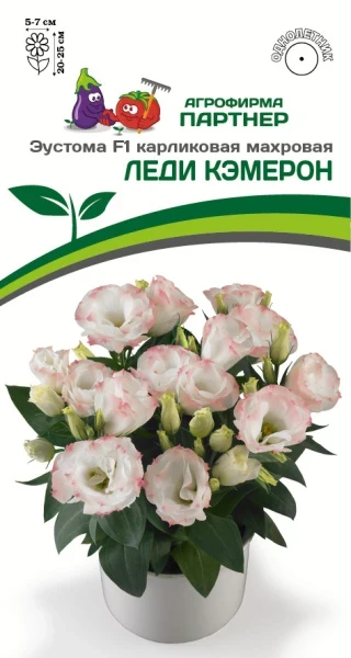 Партнер Эустома F1 карликовая махровая ЛЕДИ КЭМЕРОН ^(5шт в амп)