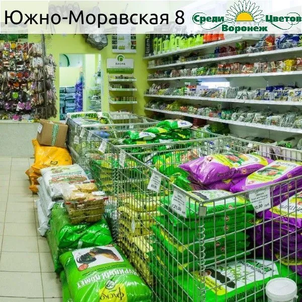 Среди цветов-Воронеж