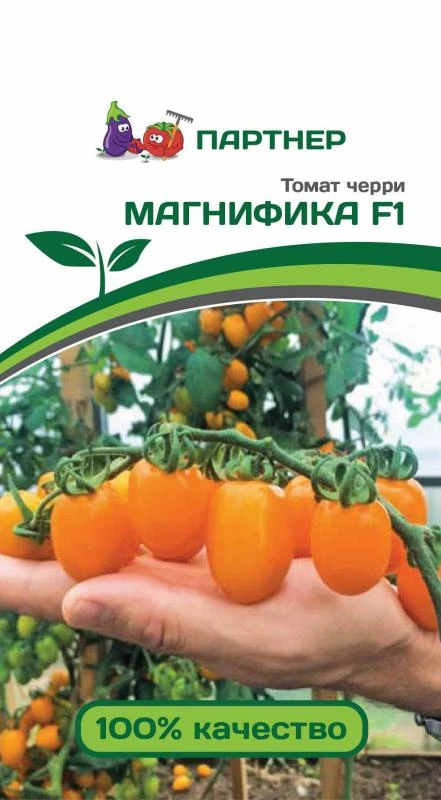 Партнер Томат ЧЕРРИ МАГНИФИКА F1 ^(10шт) 2-ной пак, изображение 0