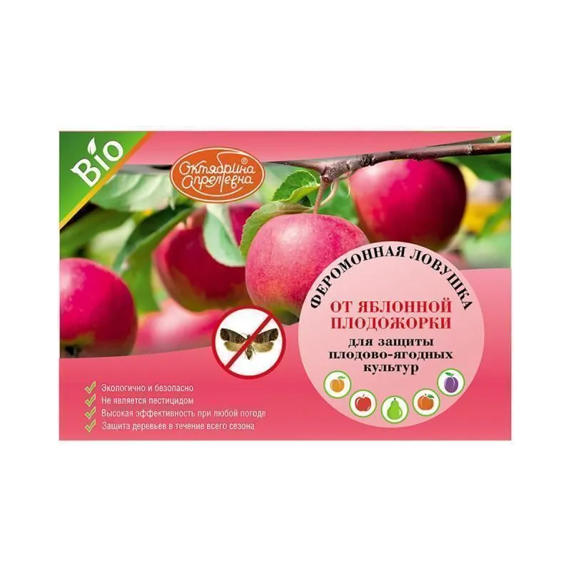 Феромонная ловушка от яблонной плодожорки ЛПХ фото, описание