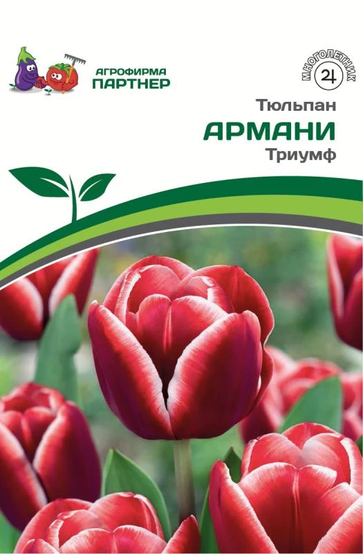 - Партнер Тюльпан триумф Армани ^(5шт/уп)
