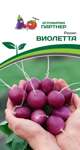 Партнер Редис ВИОЛЕТТА ^(2г)
