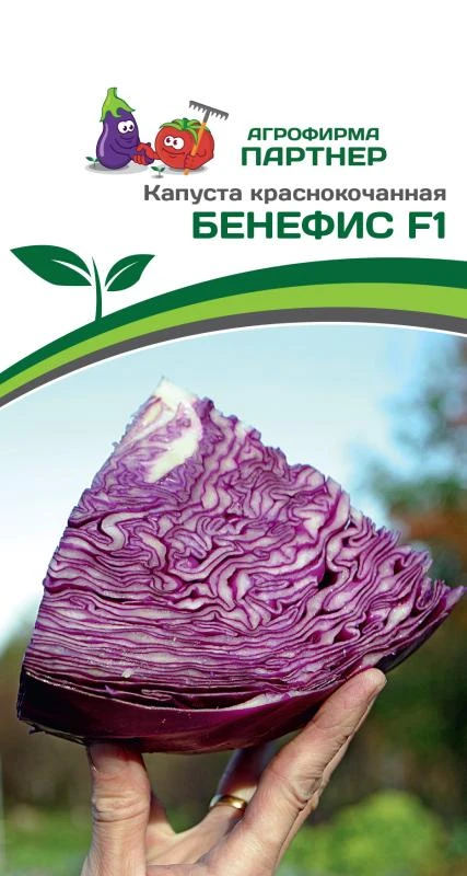 Партнер Капуста кр/к БЕНЕФИС F1 ^(0,3г), изображение 0