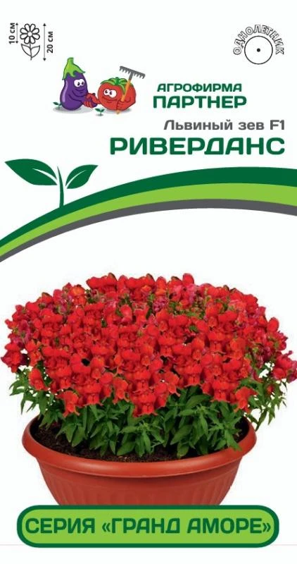 Партнер Львиный зев F1 низкорослый крупноцветковый "Гранд Аморе" РИВЕРДАНС^(10шт) 2-ной пак