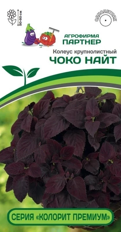 Партнер Колеус серия "КОЛОРИТ ПРЕМИУМ" ЧОКО НАЙТ / шлемниковидный ^(5шт в амп)
