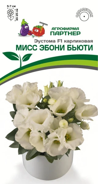 Партнер Эустома F1 карликовая МИСС ЭБОНИ БЬЮТИ ^(5шт в амп)