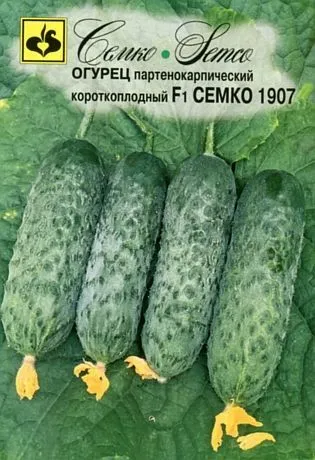 Семко Огурец СЕМКО 1907 F1 ^(10шт)