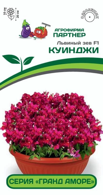 Партнер Львиный зев F1 низкорослый крупноцветковый "Гранд Аморе" КУИНДЖИ ^(10шт) 2-ной пак