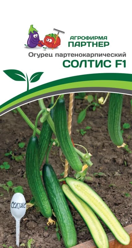 Партнер Огурец СОЛТИС F1 ^(5шт)