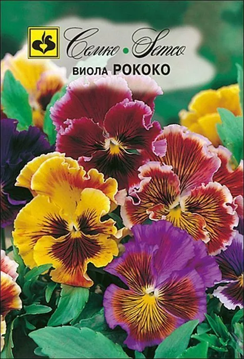 Семко Цветы Виола РОКОКО ^(0,1г) фото, описание