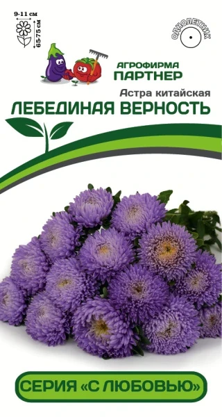 Партнер Астра китайская ЛЕБЕДИНАЯ ВЕРНОСТЬ ^(5шт в амп)