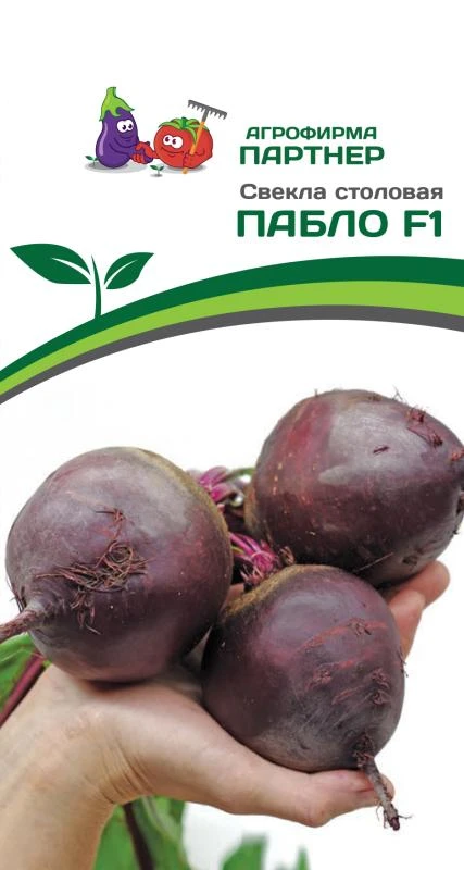 Партнер Свекла столовая ПАБЛО F1 ^(1г)