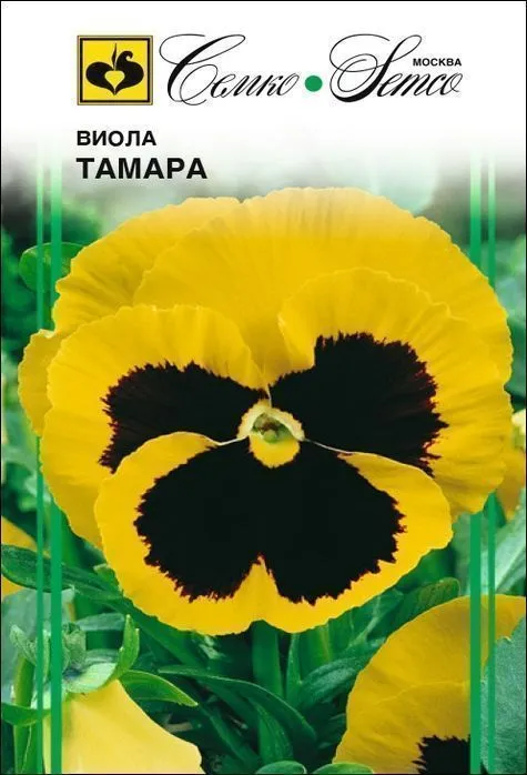 Семко Цветы Виола ТАМАРА ^(0,1г) фото, описание