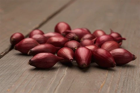 Лук-севок Ред-Барон ^500 г