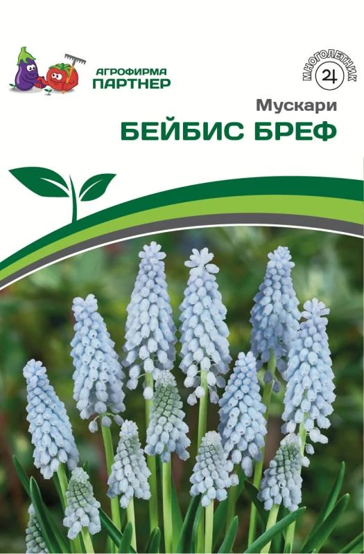 - Партнер Мускари Бейбис Бреф ^(10шт/уп)