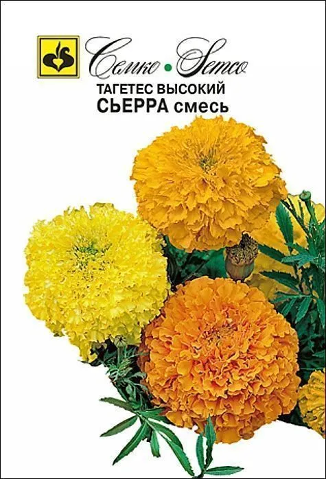 Семко Цветы Тагетес СЬЕРРА ^(0,3г) фото, описание