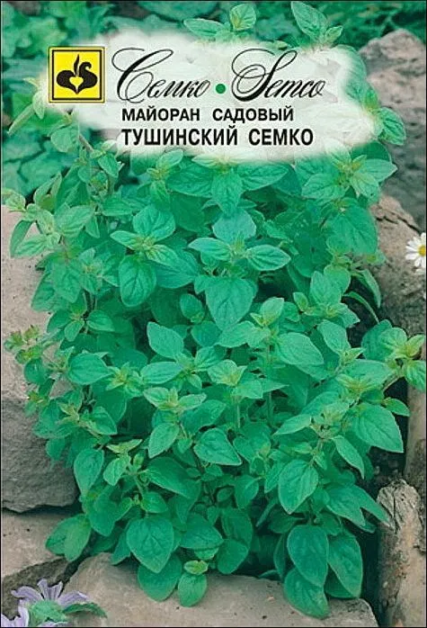 Семко Майоран ТУШИНСКИЙ СЕМКО ^(0,2г) фото, описание