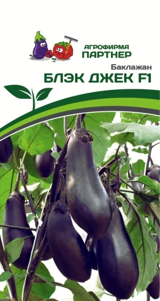 Партнер Баклажан БЛЭК ДЖЕК F1 ^(10шт) 2-ной пак