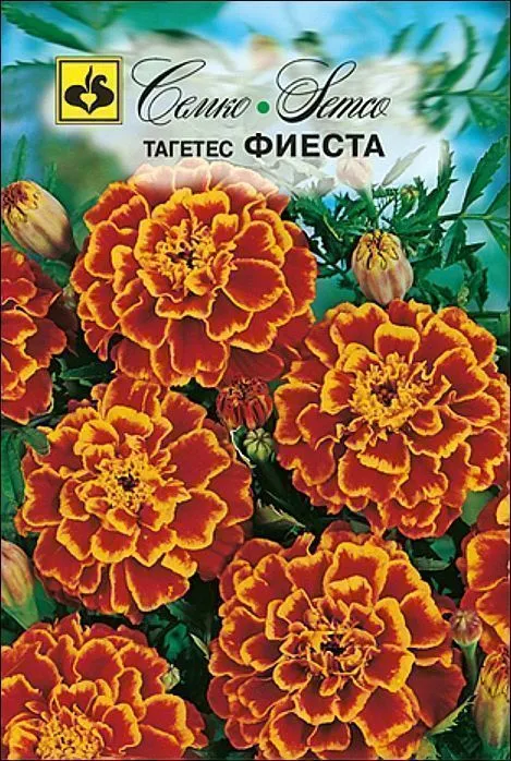 Семко Цветы Тагетес ФИЕСТА ^(0,3г) фото, описание