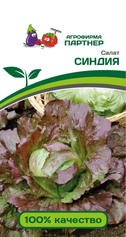 Партнер Салат СИНДИЯ ^(1г)