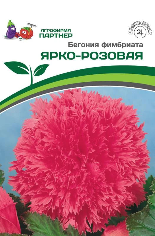 - Партнер Бегония фимбриата ЯРКО-РОЗОВАЯ ^ 1 луковица