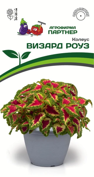 Партнер Колеус ВИЗАРД РОУЗ / шлемниковидный ^(10шт) 2-ной пак