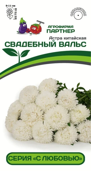 Партнер Астра китайская СВАДЕБНЫЙ ВАЛЬС ^(5шт в амп)