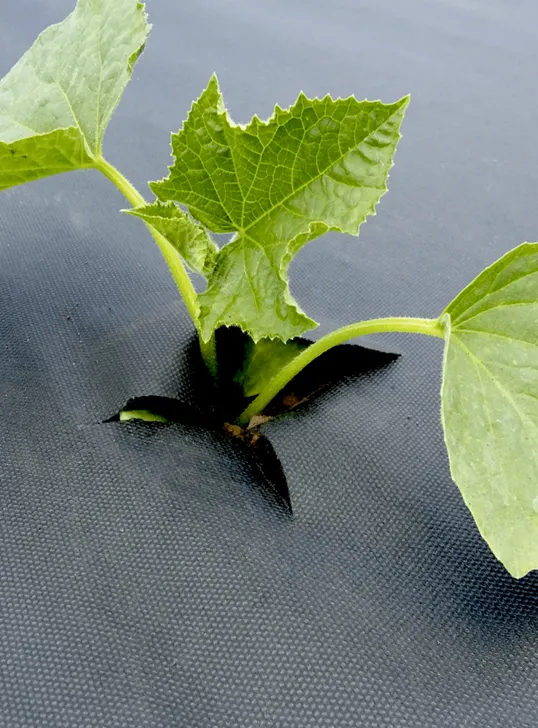 Агротекс Комплект для Огурцов, изображение 1