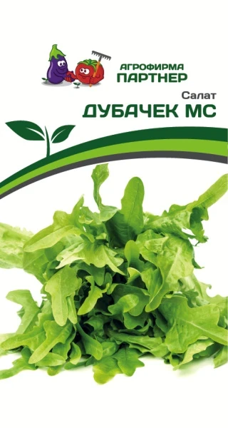 Партнер Салат листовой ДУБАЧЕК МС ^(0,5г), изображение 0