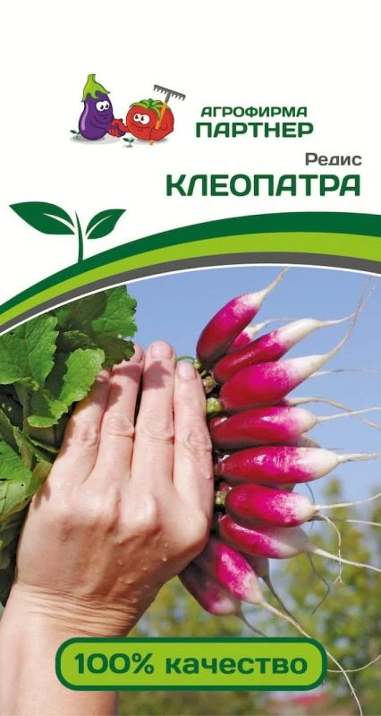 Партнер Редис КЛЕОПАТРА ^(2г)