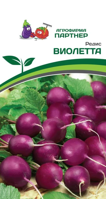 Партнер Редис ВИОЛЕТТА ^(2г)