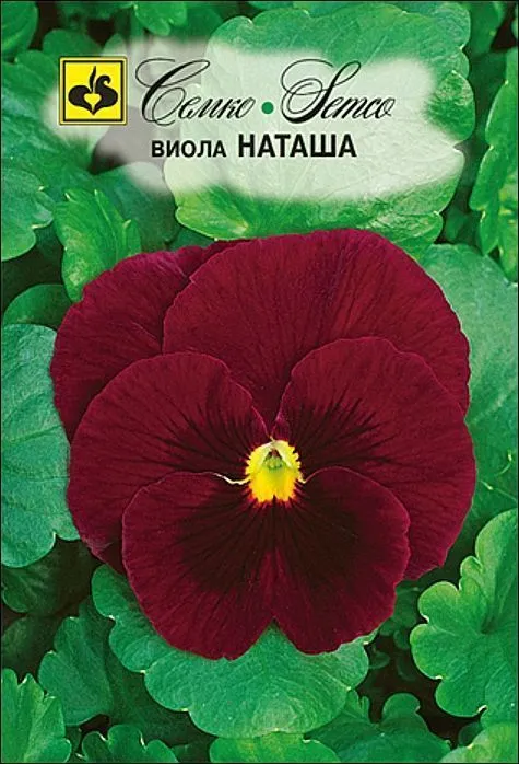 Семко Цветы Виола НАТАША ^(0,1г) фото, описание