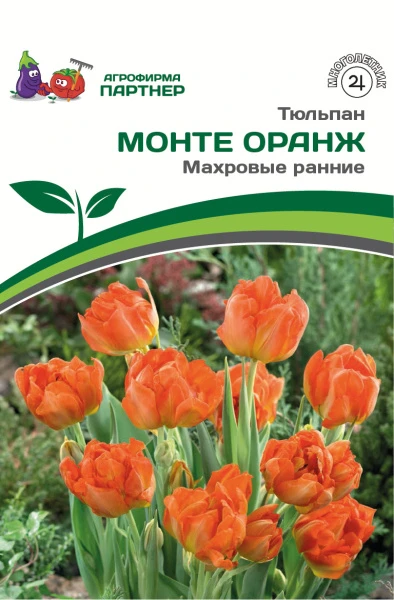 Партнер Тюльпан махровый ранний Монте Оранж ^(5шт/уп), изображение 0