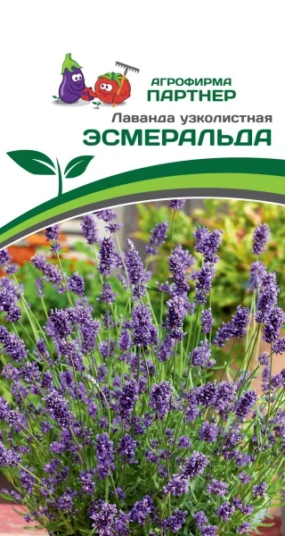 Партнер Лаванда узколистная ЭСМЕРАЛЬДА ^(0,05г в амп)