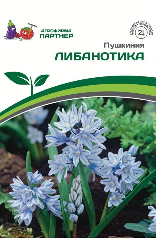 - Партнер Пушкиния Либанотика ^(10шт/уп)