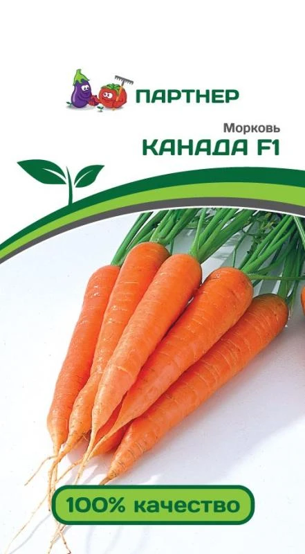 Партнер Морковь КАНАДА F1 ^(0,5г)