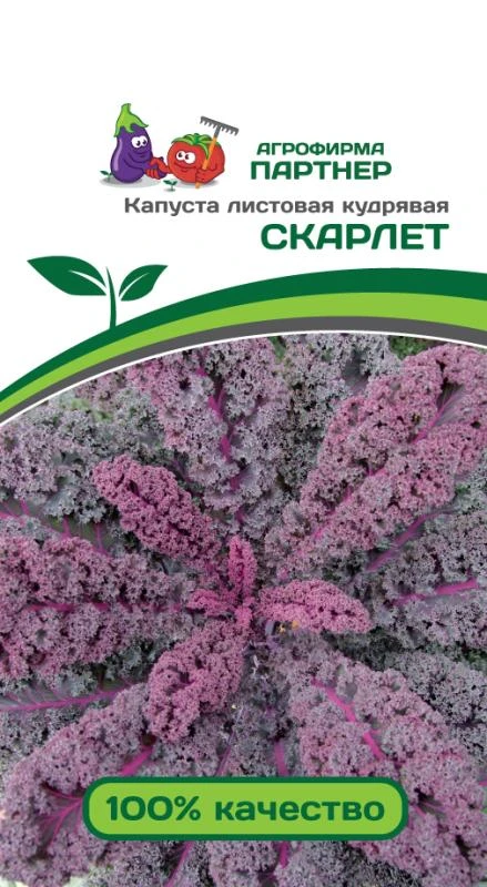 Партнер Капуста листовая кудрявая СКАРЛЕТ ^(0,3г)