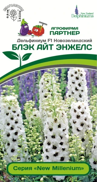 Партнер Дельфиниум F1 новозеландский БЛЭК АЙТ ЭНЖЕЛС ^(3шт)