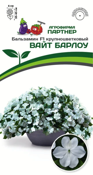 Партнер Бальзамин F1 крупноцветковый ВАЙТ БАРЛОУ^(5шт в амп)