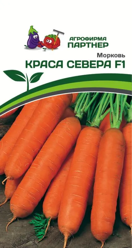 Партнер Морковь КРАСА СЕВЕРА F1 ^(0,5г) фото, описание