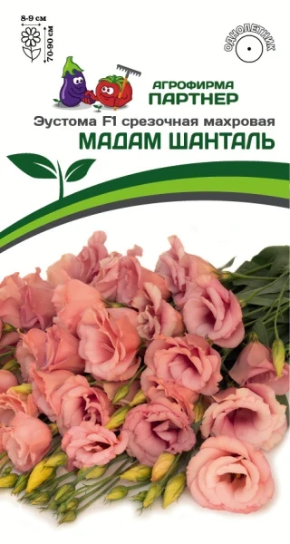Партнер Эустома F1 срезочная махровая МАДАМ ШАНТАЛЬ ^(5шт в амп), изображение 0