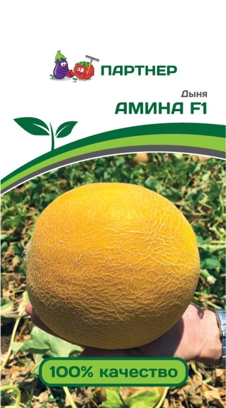 Партнер Дыня АМИНА F1 ^(5шт)