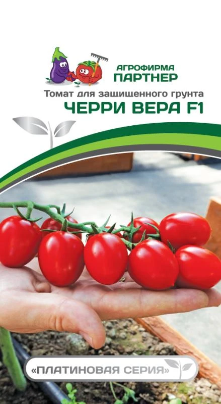 Партнер Томат ЧЕРРИ ВЕРА F1 ^(5шт) 2-ной пак фото, описание