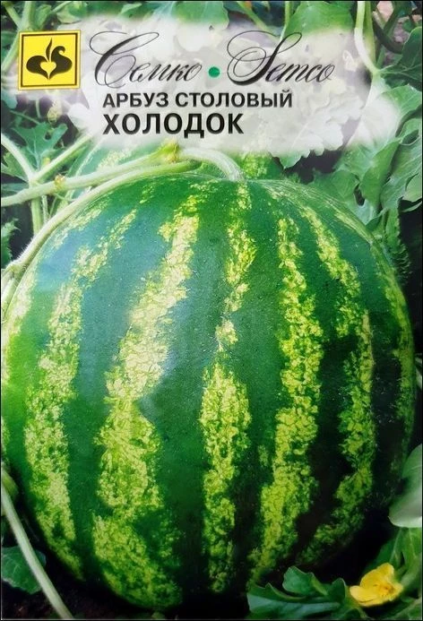 Семко Арбуз ХОЛОДОК ^(2г) фото, описание