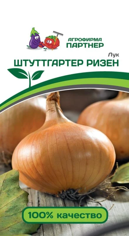 Партнер Лук репчатый ШТУТТГАРТЕР РИЗЕН ^(1г) фото, описание